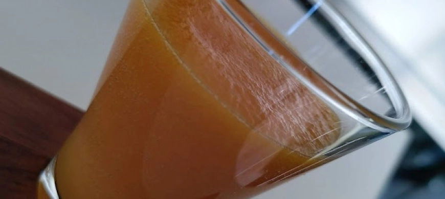 Xarrup de pastanaga i taronja